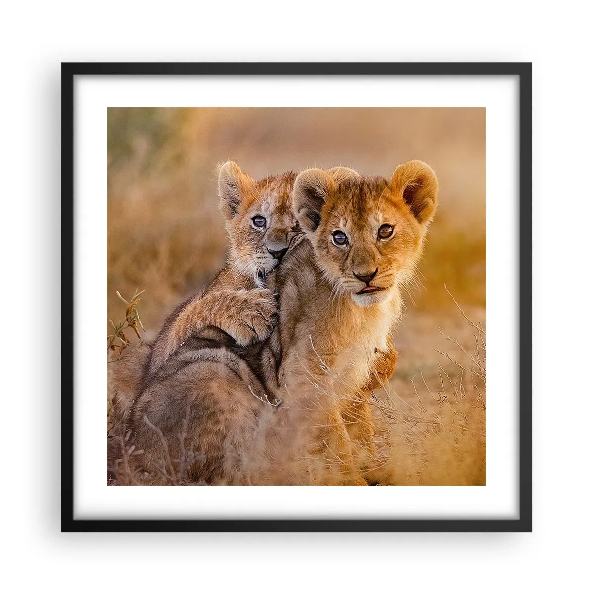 Plakat i sort ramme - Forstyr ikke! Vi har det sjovt - 50x50 cm