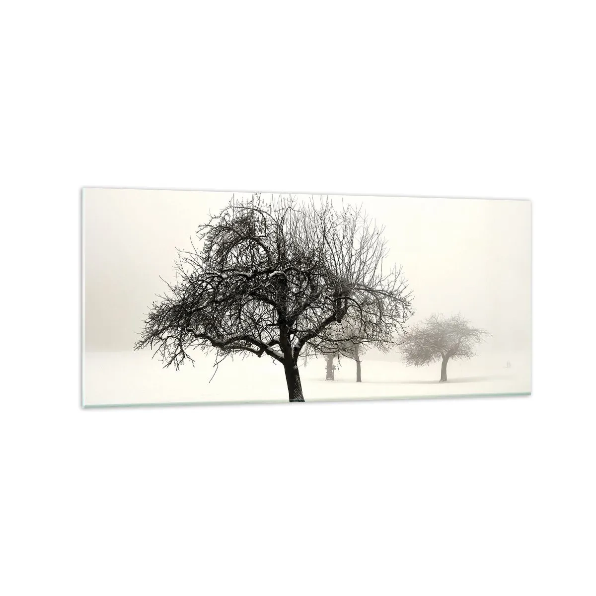 Billede på glas - Vintersøvn - 120x50 cm