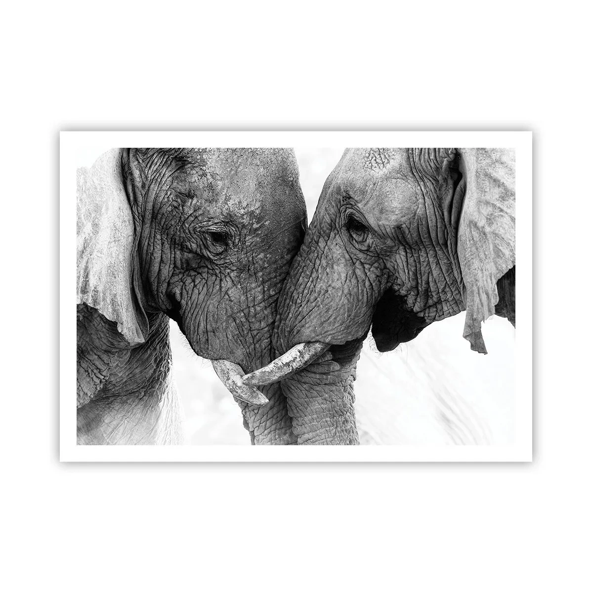 Plakat - Hjertelig tilståelse - 100x70 cm
