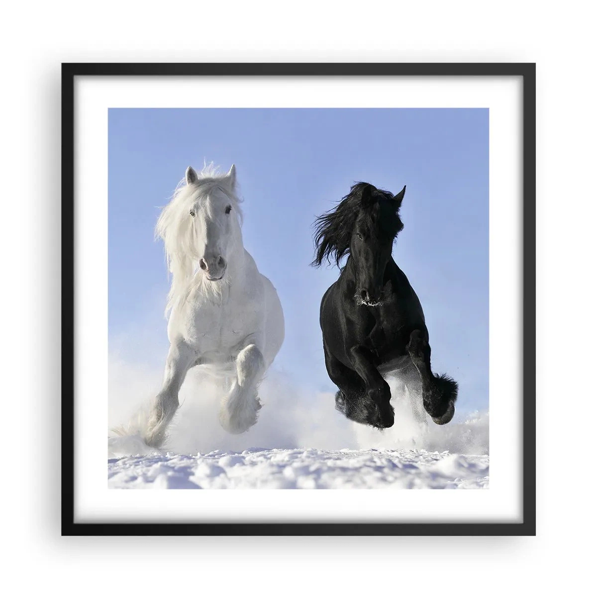 Plakat i sort ramme - Sort og hvid galop - 50x50 cm