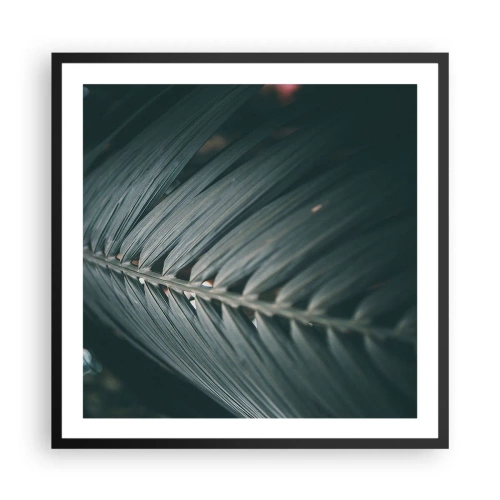 Plakat i sort ramme - Naturens præcision - 60x60 cm