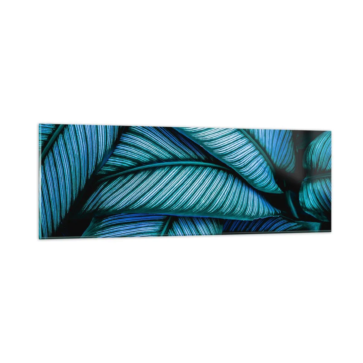 Billede på glas - Livslinjer - 90x30 cm