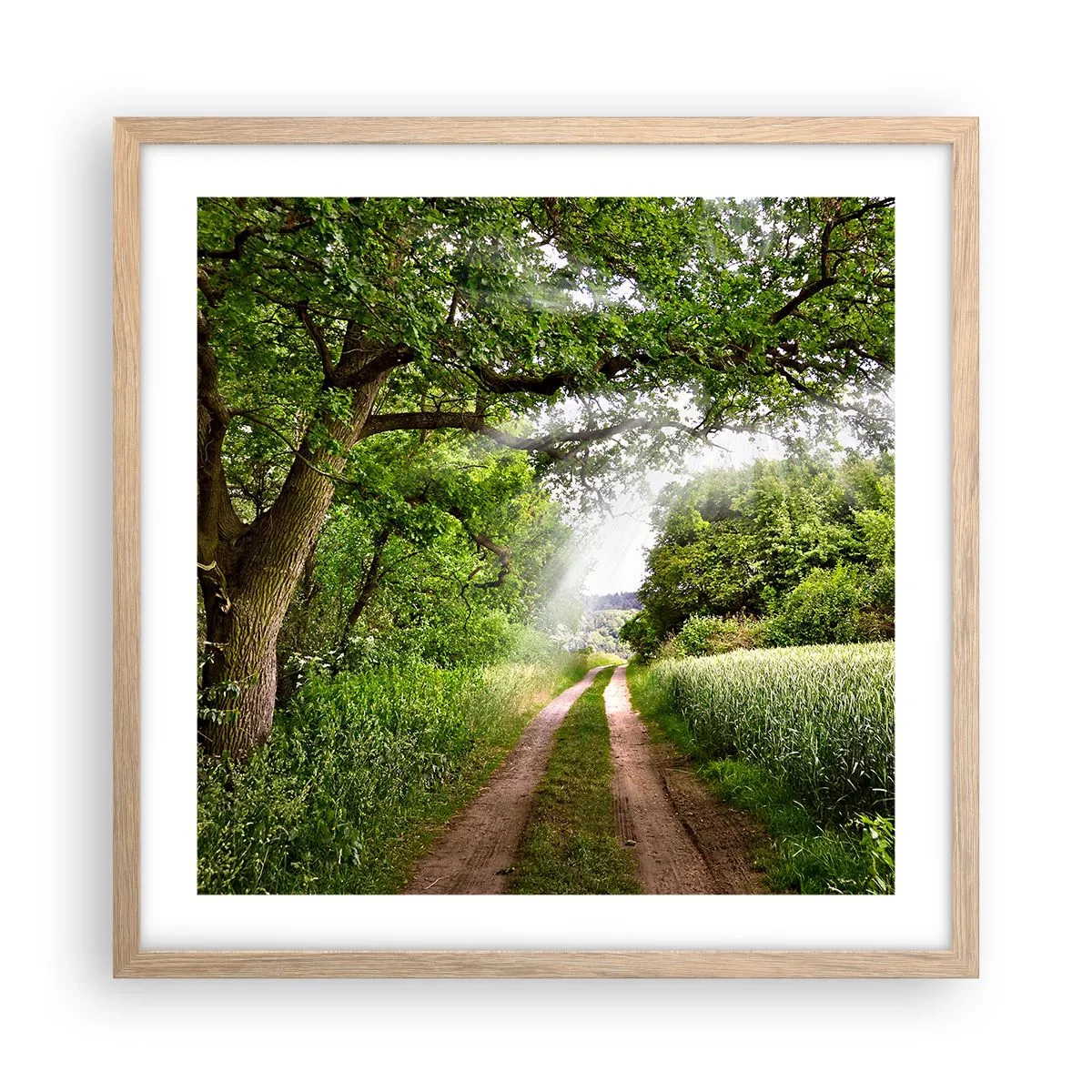 Plakat i ramme af lyst egetræ - Et in Arcadia ego - 50x50 cm