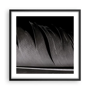 Plakat i sort ramme - Fjer - en vidunderlig konstruktion - 50x50 cm