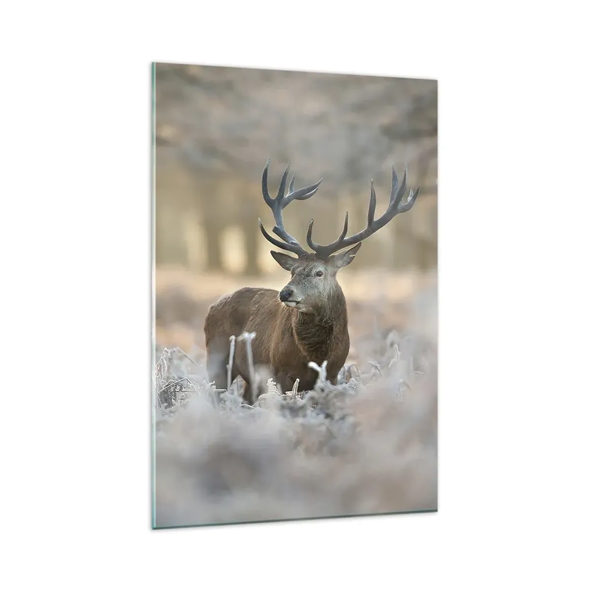 Billede på glas - En frisk morgen - 80x120 cm