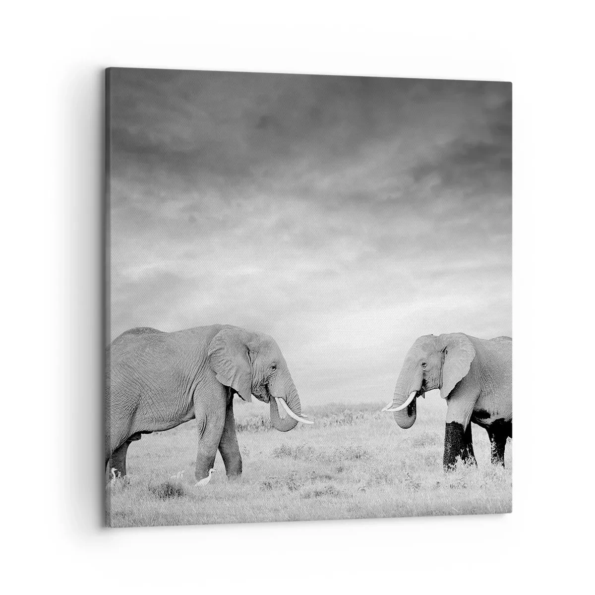 Lærredstryk - Billede på lærred - Gråt er smukt - 50x50 cm