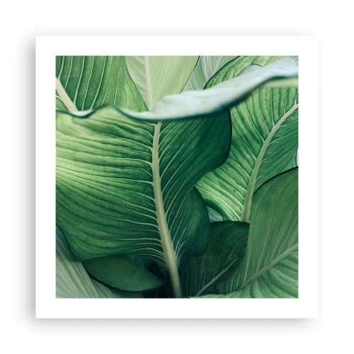 Plakat - Livet er intenst grønt - 50x50 cm