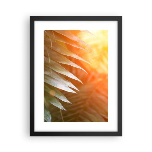 Plakat i sort ramme - Morgen i junglen - 30x40 cm