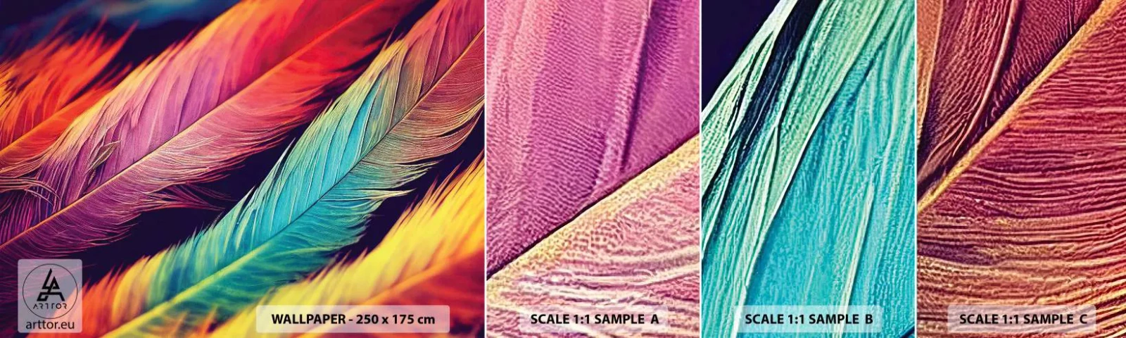 Fototapet Prøve Standard Eco - Fjeragtig regnbue - Fjer, Lys, Farverig - 100x30 cm