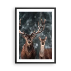 Plakat i sort ramme - Et par hjorte mod en vinterskov som baggrund - 50x70cm - Skovens herre og hans kone - Moderne vægdekoration til stue og soveværelse ARTTOR