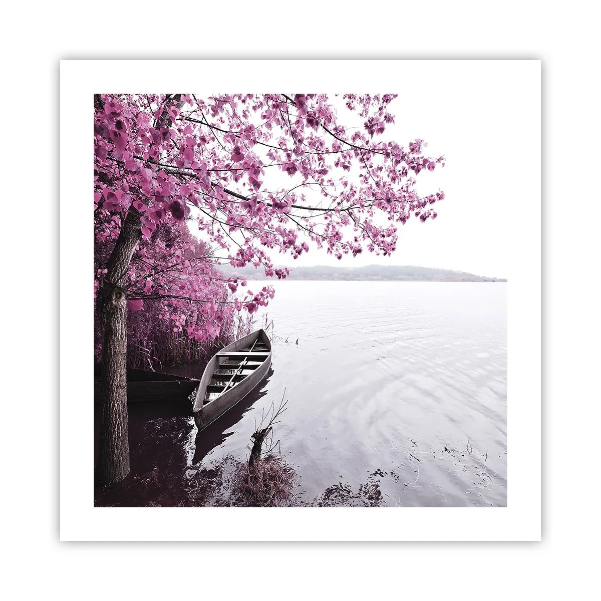 Plakat - I lyserød stilhed - 50x50 cm