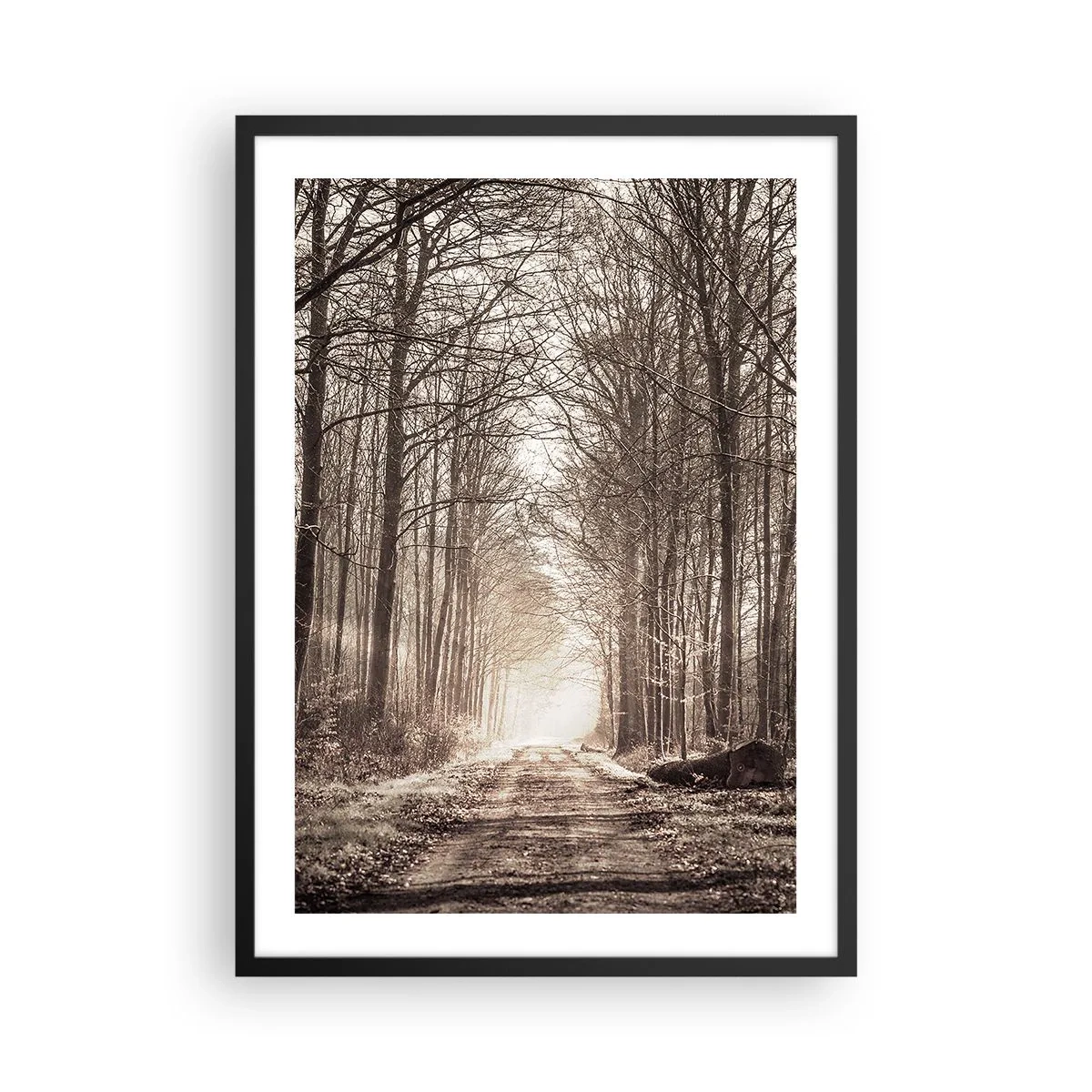 Plakat i sort ramme - En skovsti i efterårssepia-toner - 50x70cm - Skovkatedralen - Moderne vægdekoration til stue og soveværelse ARTTOR