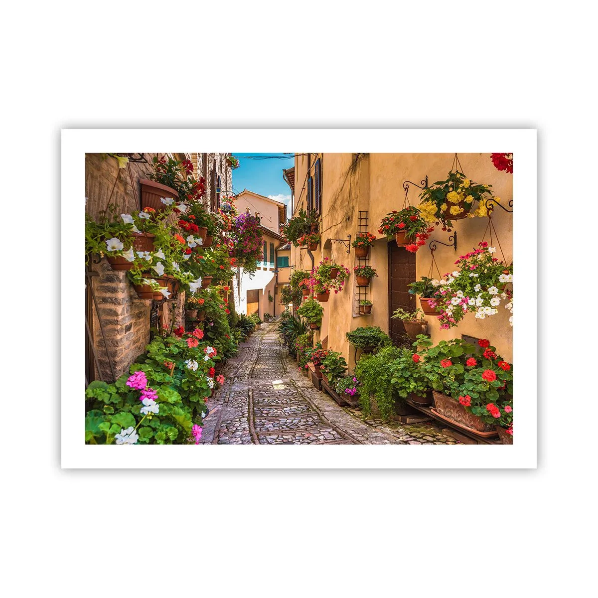 Plakat - Italiensk gyde - 70x50 cm