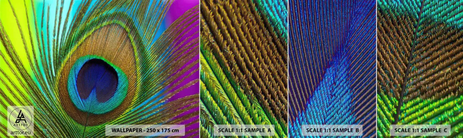 Prøve Fototapet Premium Canvas - Øje mod øje - Abstraktion, Påfuglefjer, Stykke - 100x30 cm