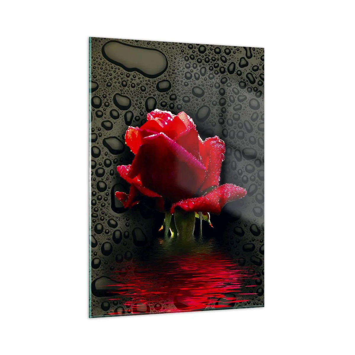 Billede på glas - Rød og sort - 50x70 cm