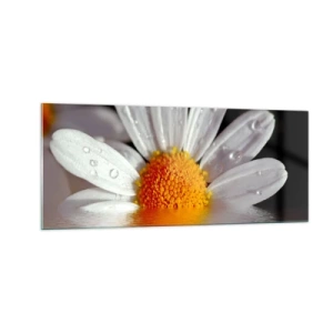 Billede på glas - Den opgående sol på margaret - 100x40 cm