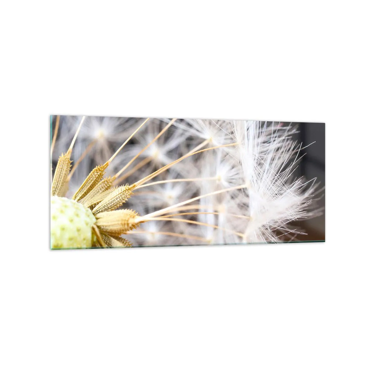 Billede på glas - Lige før afrejse - 120x50 cm