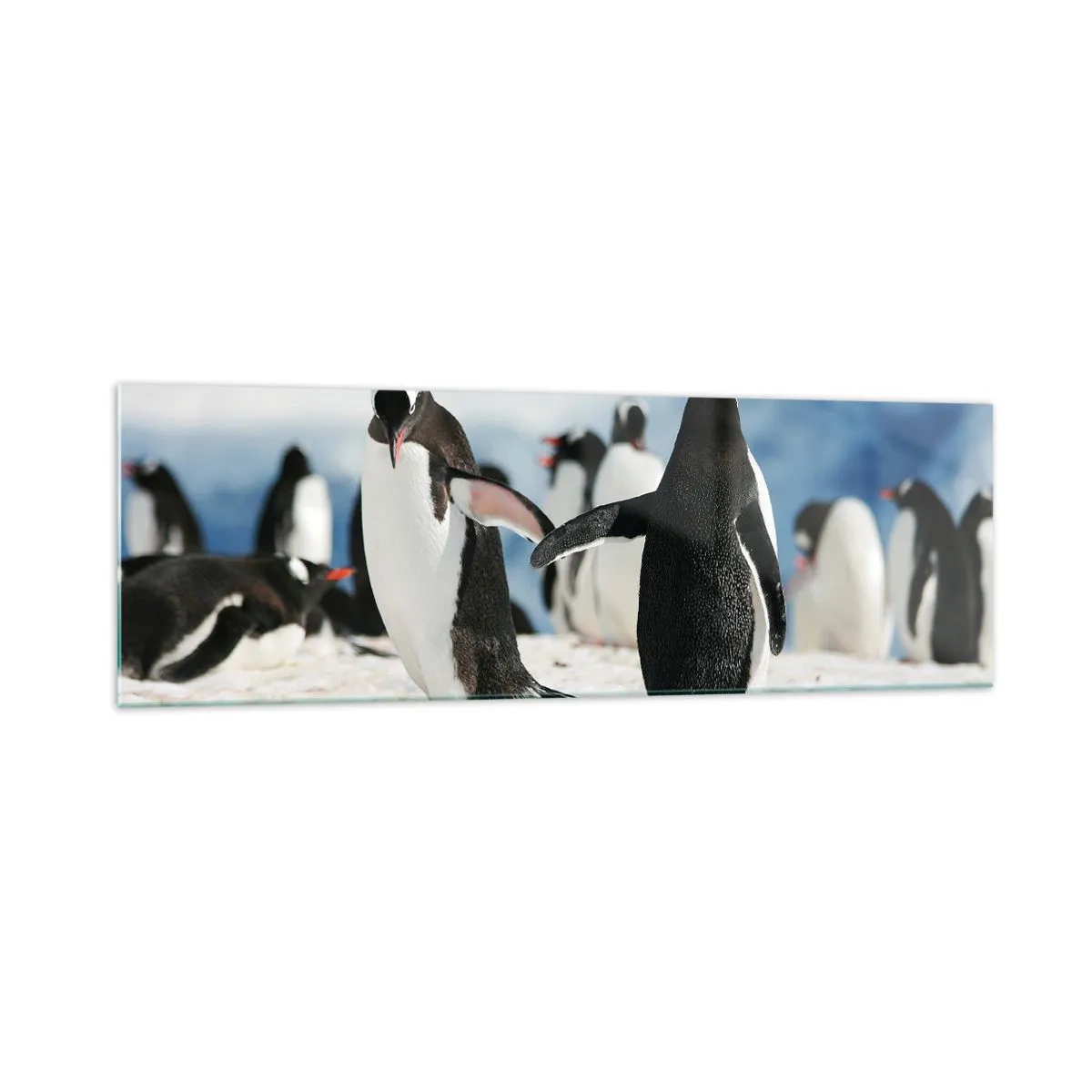 Billede på glas - Danser i sneen - 160x50 cm