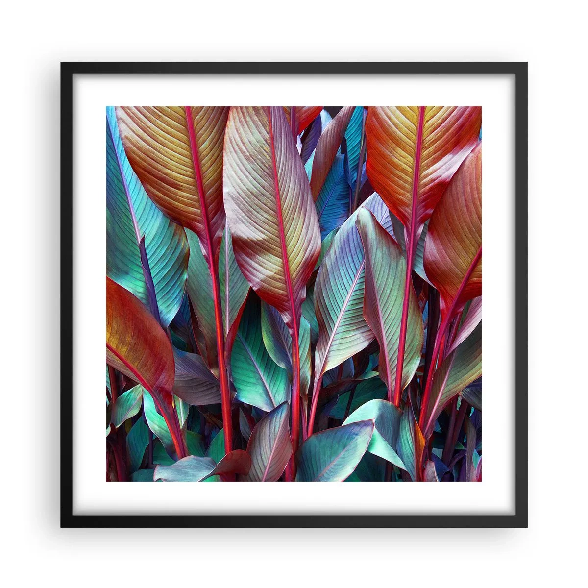 Plakat i sort ramme - Farverigt krat - 50x50 cm