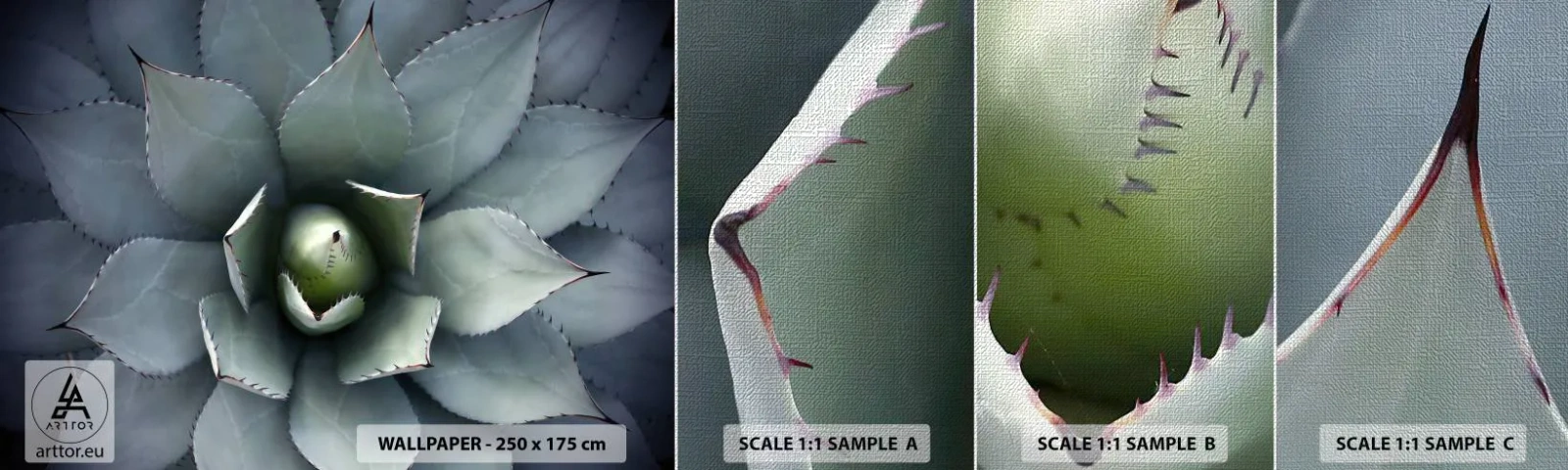 Prøve Fototapet Premium Canvas - Lokkemad og advarsler - Agave blomst, Agave, Eksotisme - 100x30 cm