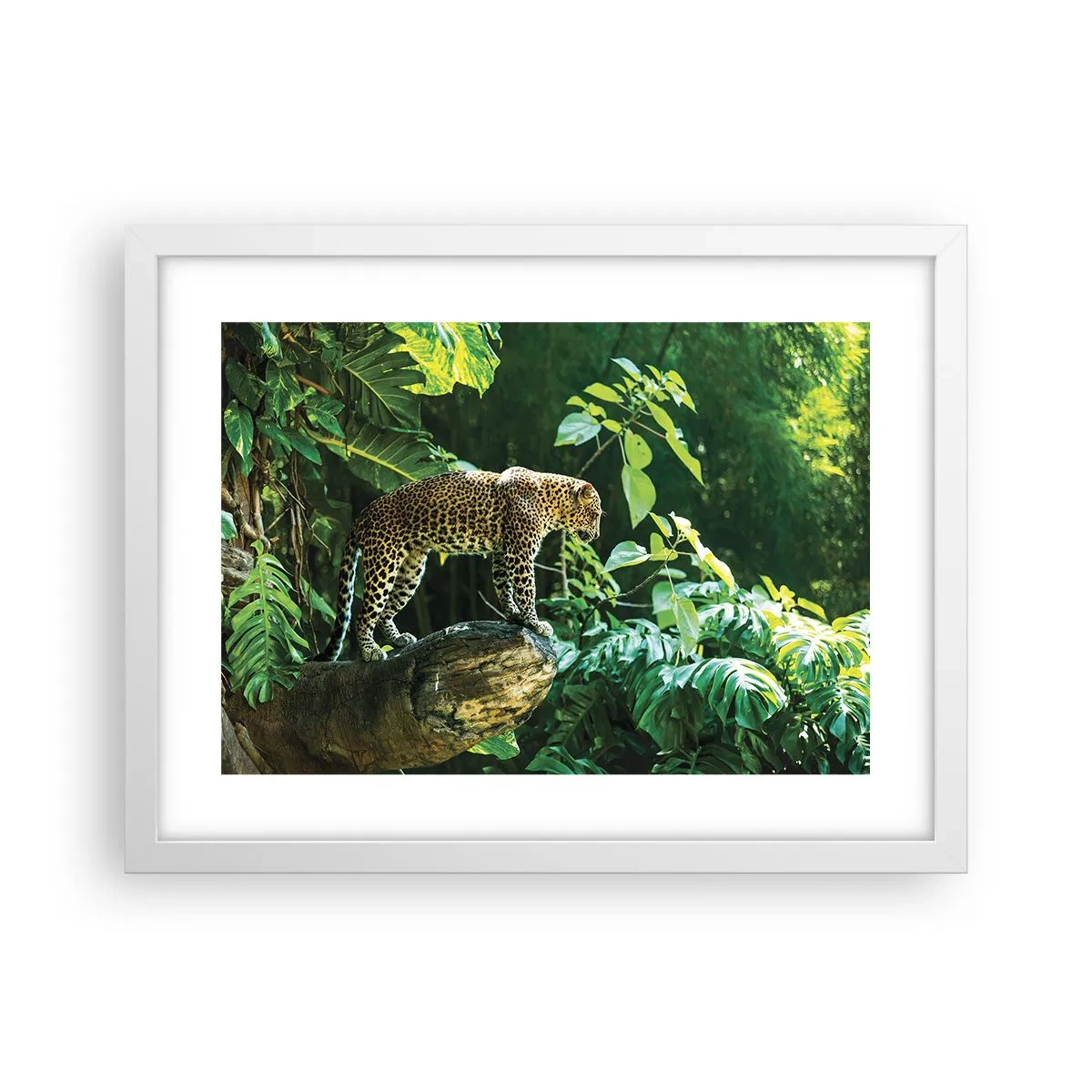 Plakat i hvid ramme - Til jagt? - 40x30 cm