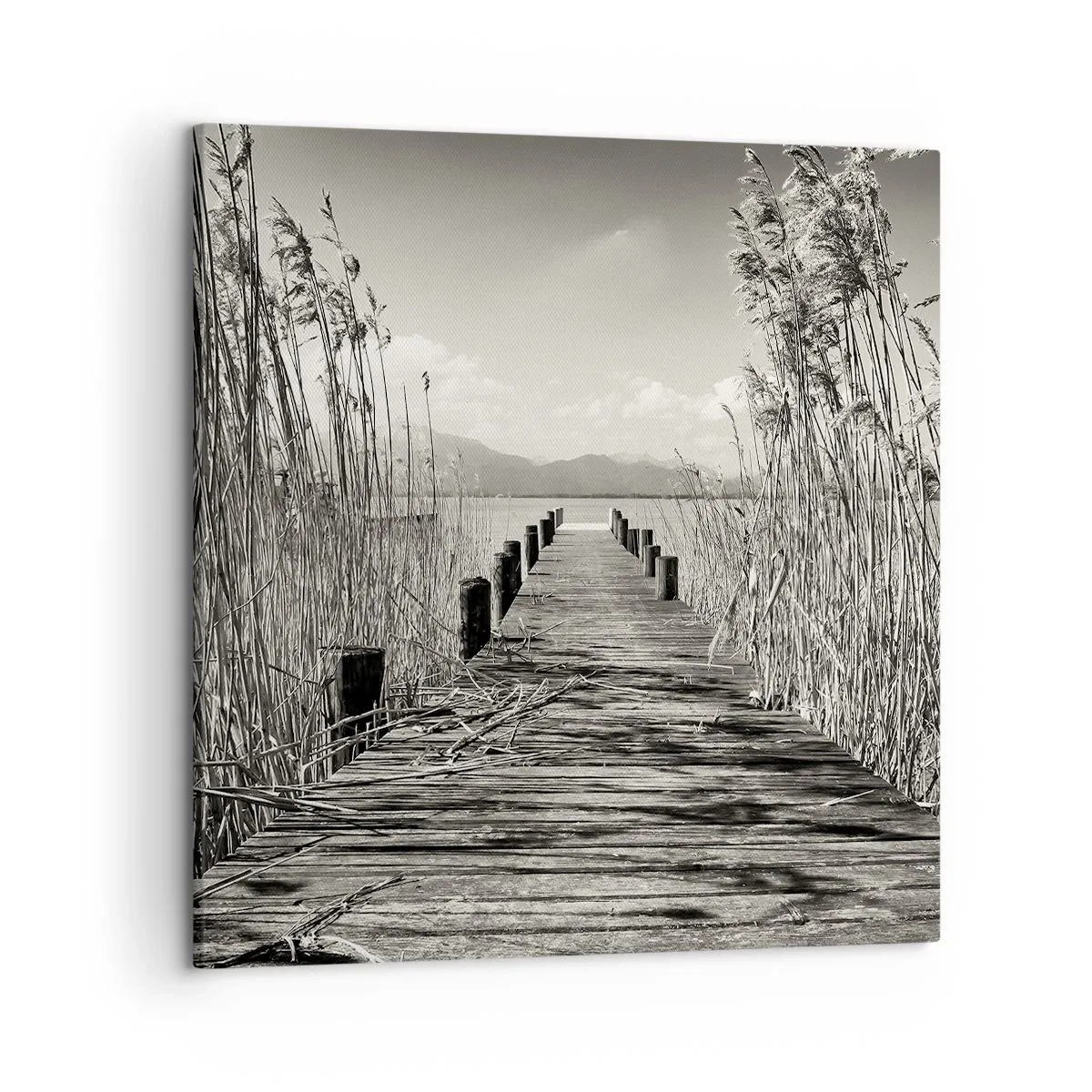 Lærredstryk - Billede på lærred - I græssernes fred - 50x50 cm