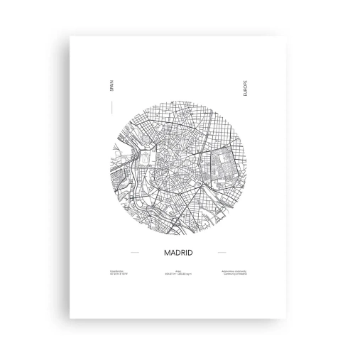 Plakat - Madrids anatomi - 30x40 cm