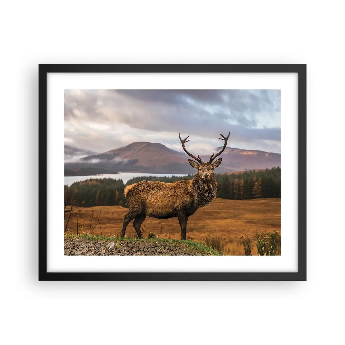 Plakat i sort ramme - Naturens majestæt - 50x40 cm