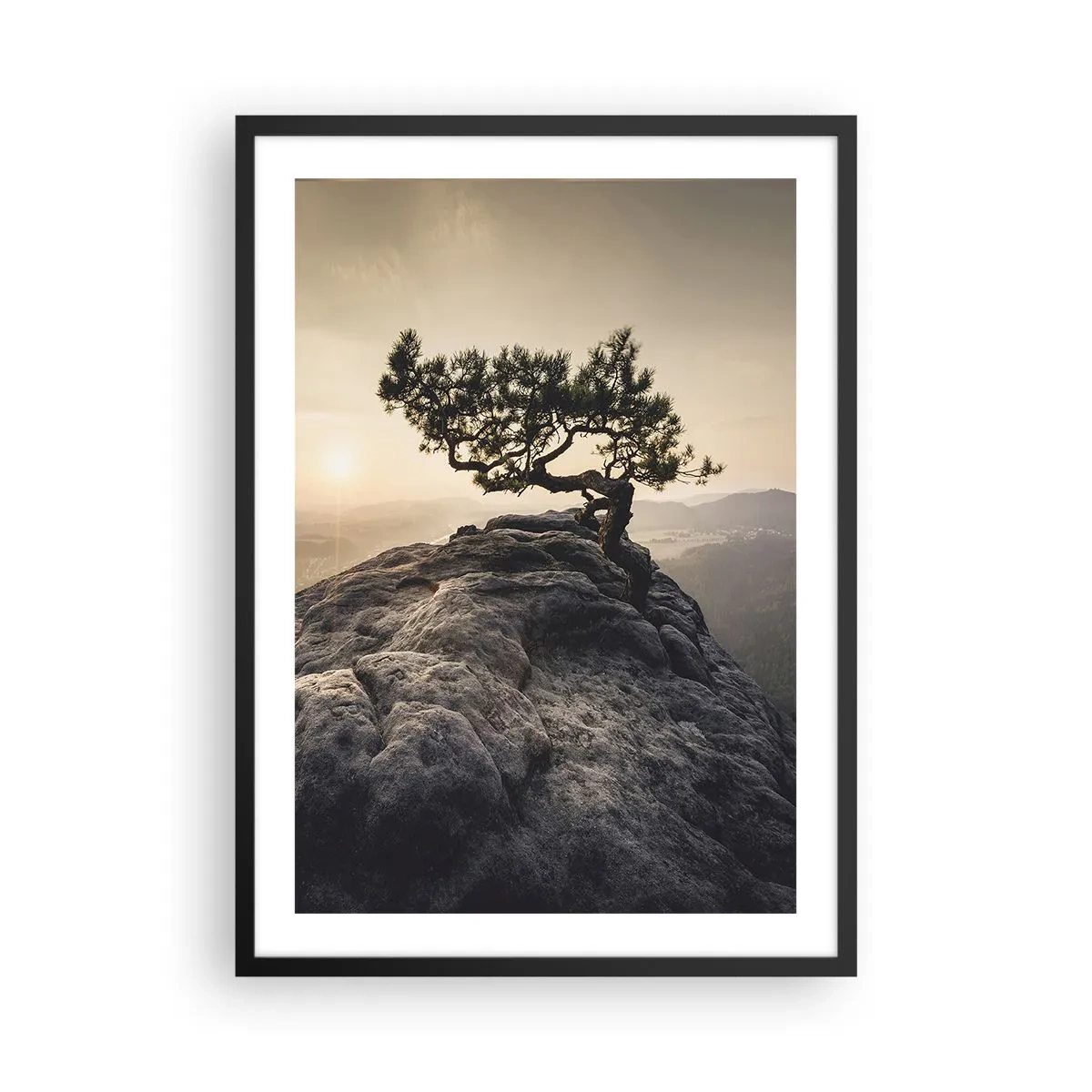 Plakat i sort ramme - Et ensomt træ på en klippetop i lyset af den nedgående sol - 50x70cm - Livet vinder altid - Moderne vægdekoration til stue og soveværelse ARTTOR