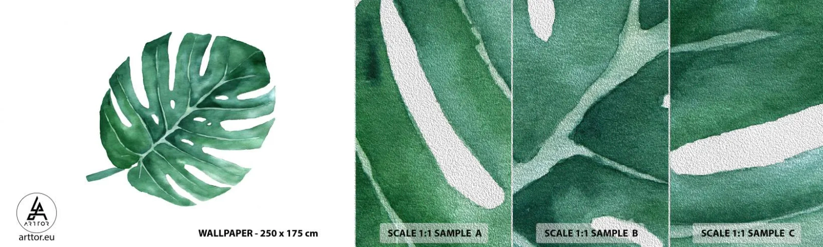 Prøve Fototapet Premium Sand - Grønt koncept - Monstera, Blad, Boho - 100x30 cm