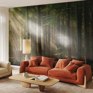 Fototapet Standard Eco - Solstråler, der trænger ind i den tætte skov - 100x70cm - Strålende på en forårsmorgen - Moderne vægdekoration til stue og soveværelse ARTTOR