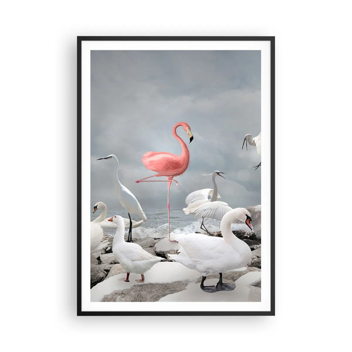 Plakat i sort ramme - Hvor kommer jeg fra? - 70x100 cm