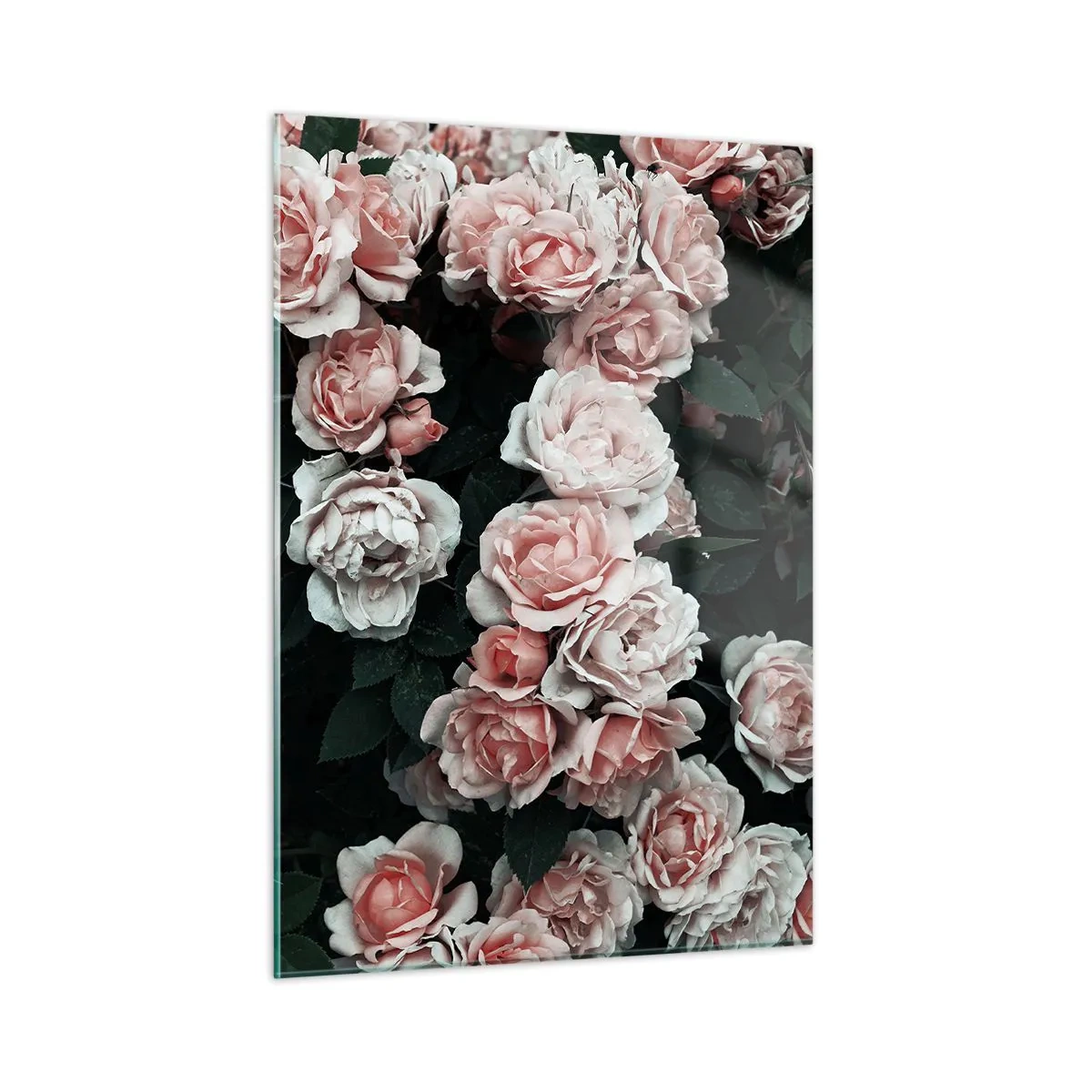 Billede på glas - Lyserød ansamble - 50x70 cm