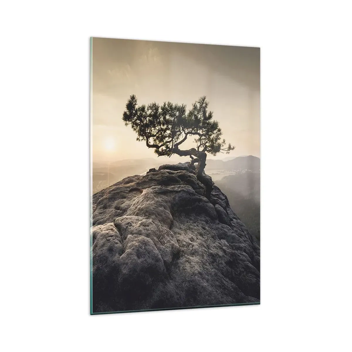 Billede på glas - Livet vinder altid - 80x120 cm