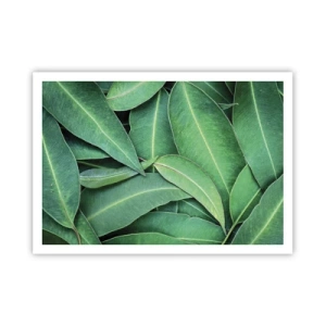 Plakat - Saftig og frisk - 100x70 cm