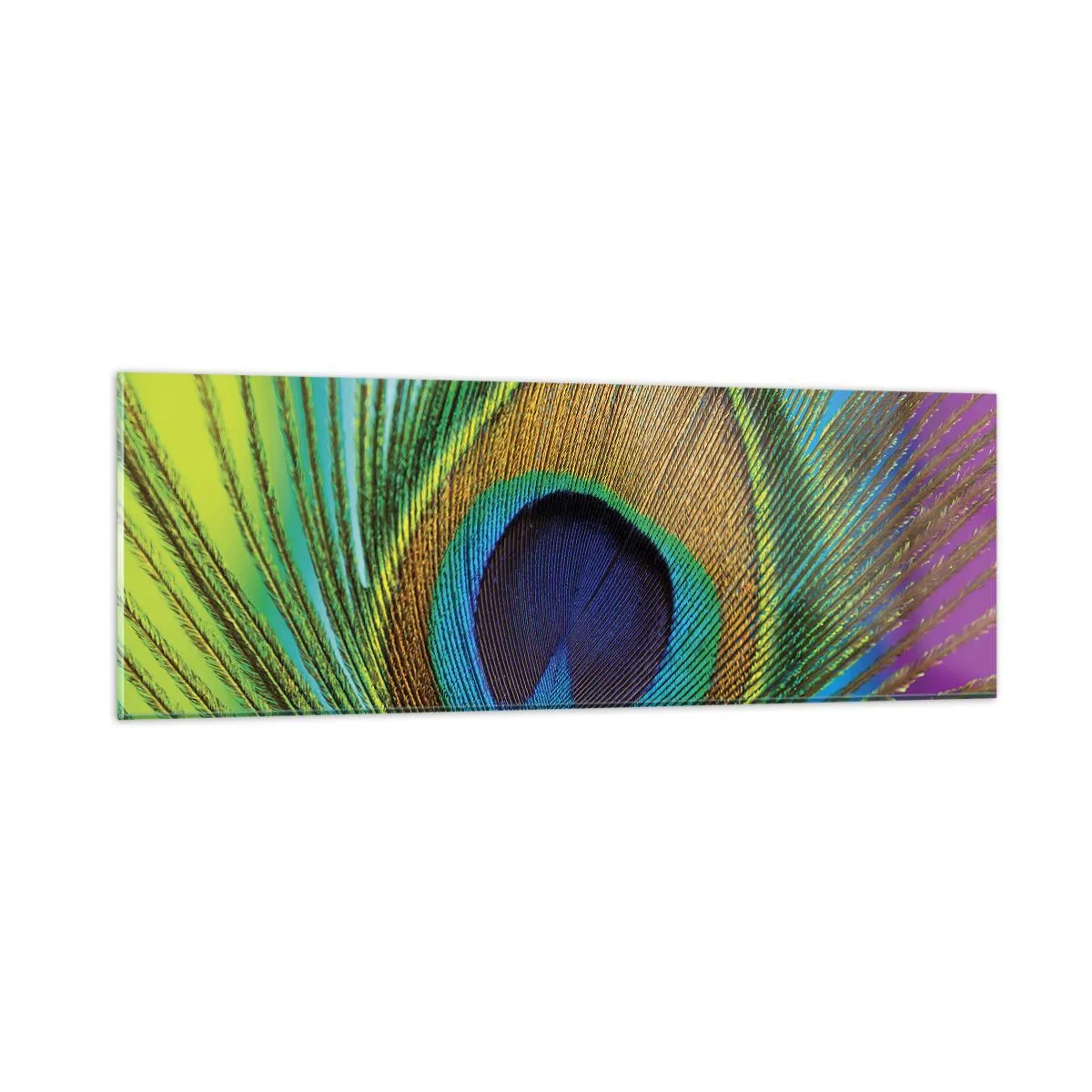 Billede på glas - Øje mod øje - 90x30 cm