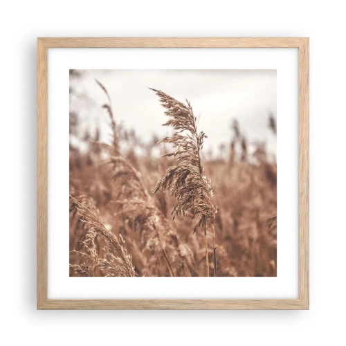 Plakat i ramme af lyst egetræ - Efteråret er allerede på markerne - 40x40 cm