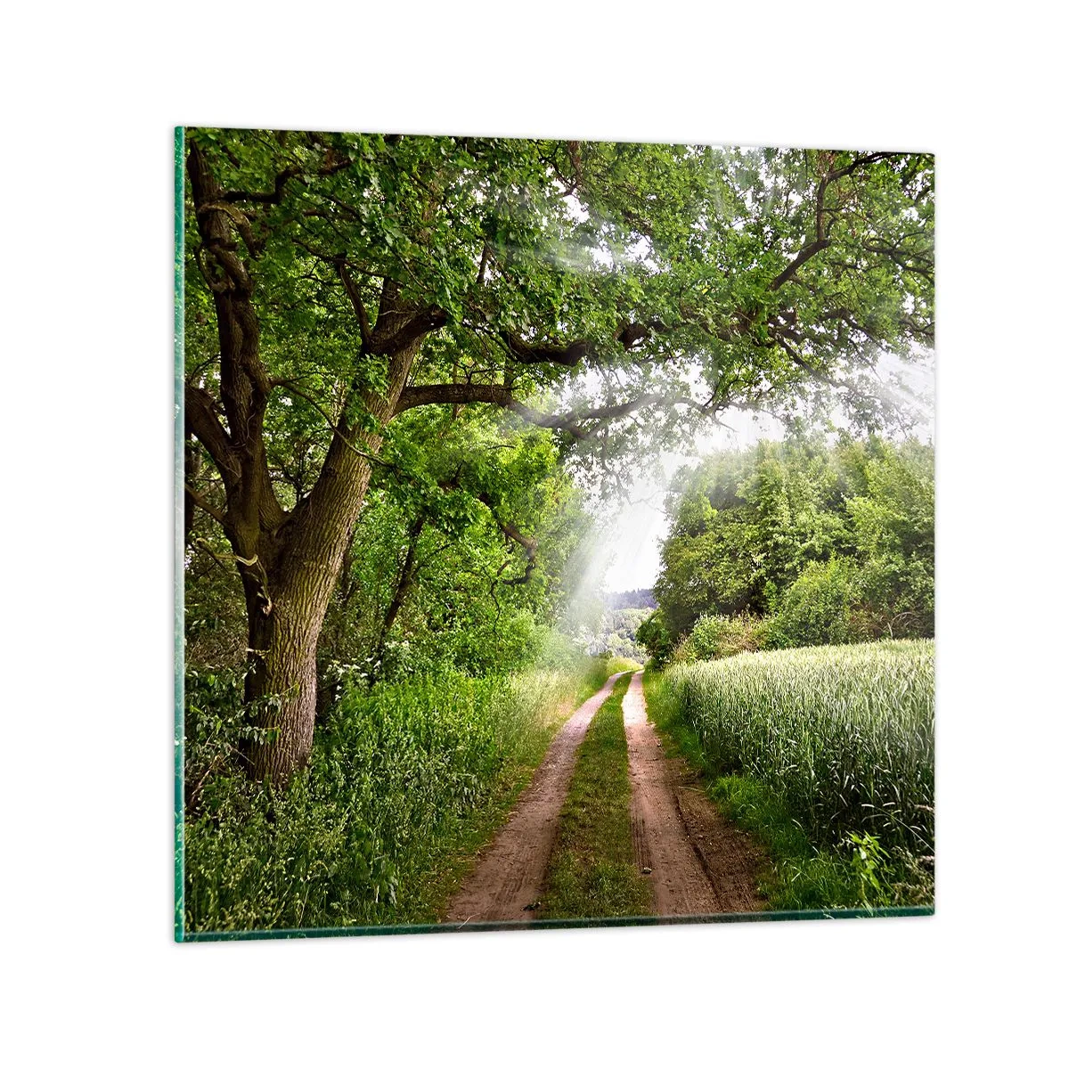 Billede på glas - Et in Arcadia ego - 40x40 cm