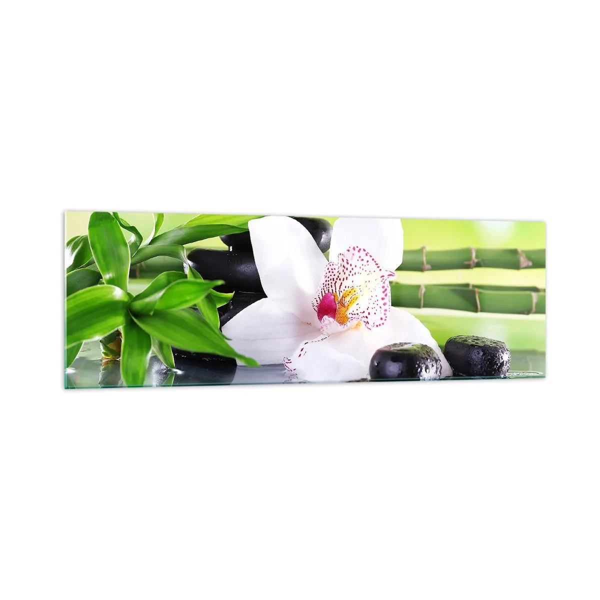 Billede på glas - Kølig friskhed - 160x50 cm