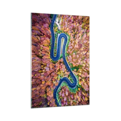 Billede på glas - En snoet vej gennem skoven - 80x120 cm