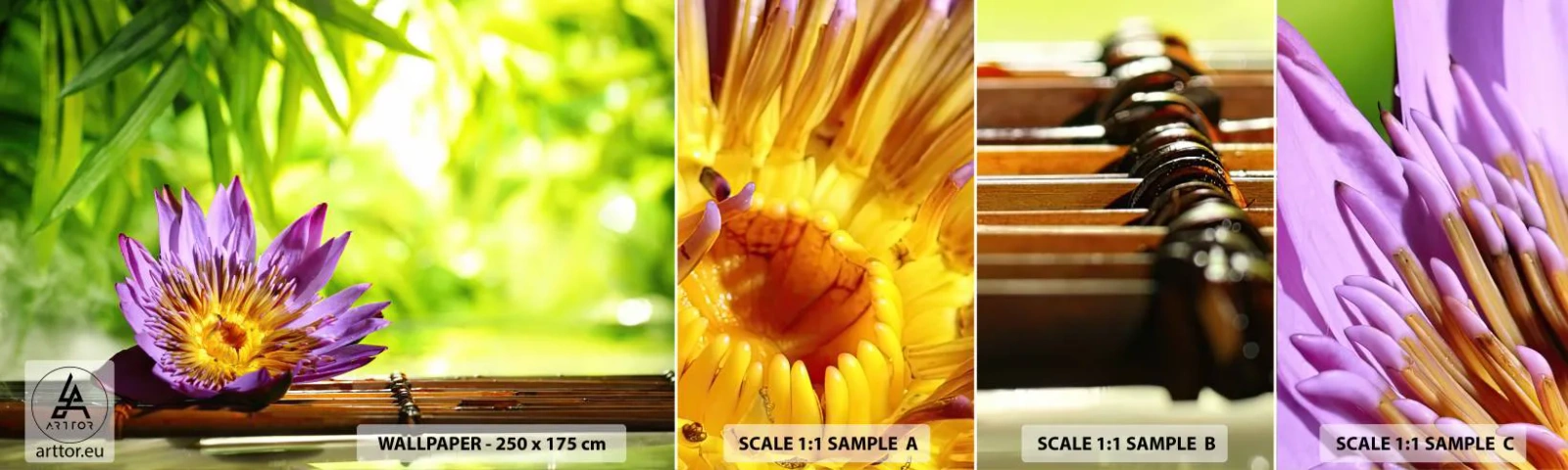 Prøve Fototapet Selvklæbende Deluxe Sticker - I det asiatiske solskin - Blomst, Lotus blomst, Bambus - 100x30 cm