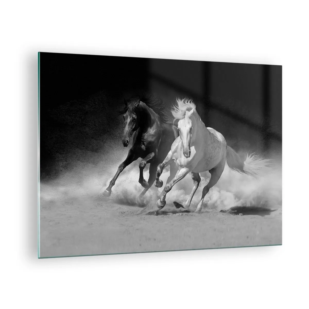 Billede på glas - Løbende heste i sort og hvid - 70x50cm - Frihedens galop - Moderne vægdekoration til stue og soveværelse ARTTOR