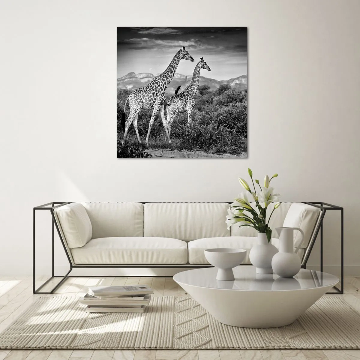 Billede på glas - Afrikas overklasse - 70x70 cm