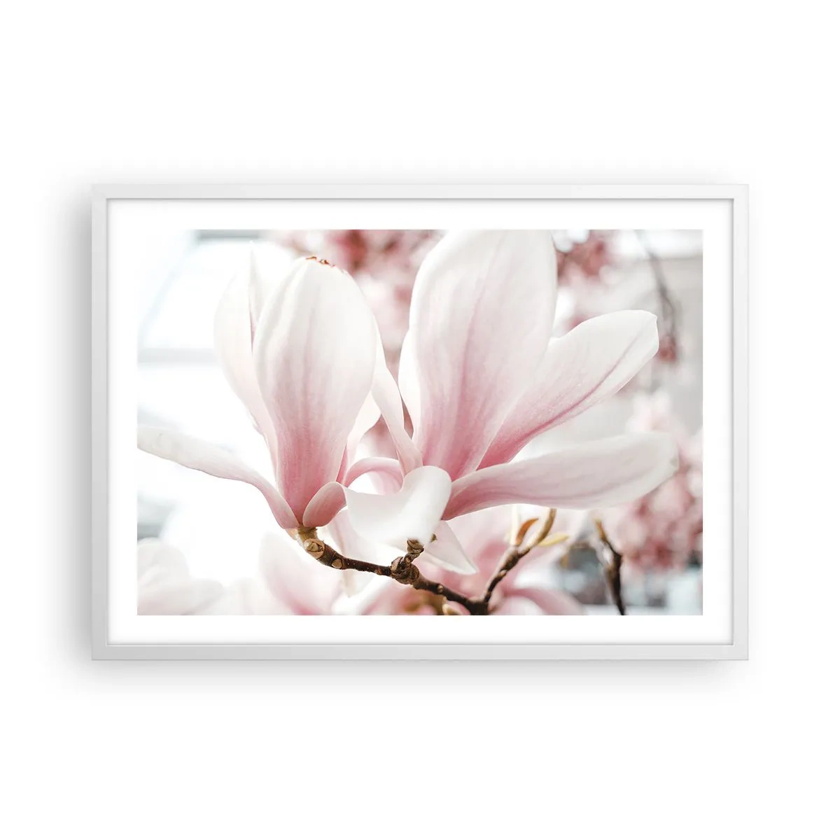 Plakat i hvid ramme - Ømhedens umådelighed - 70x50 cm