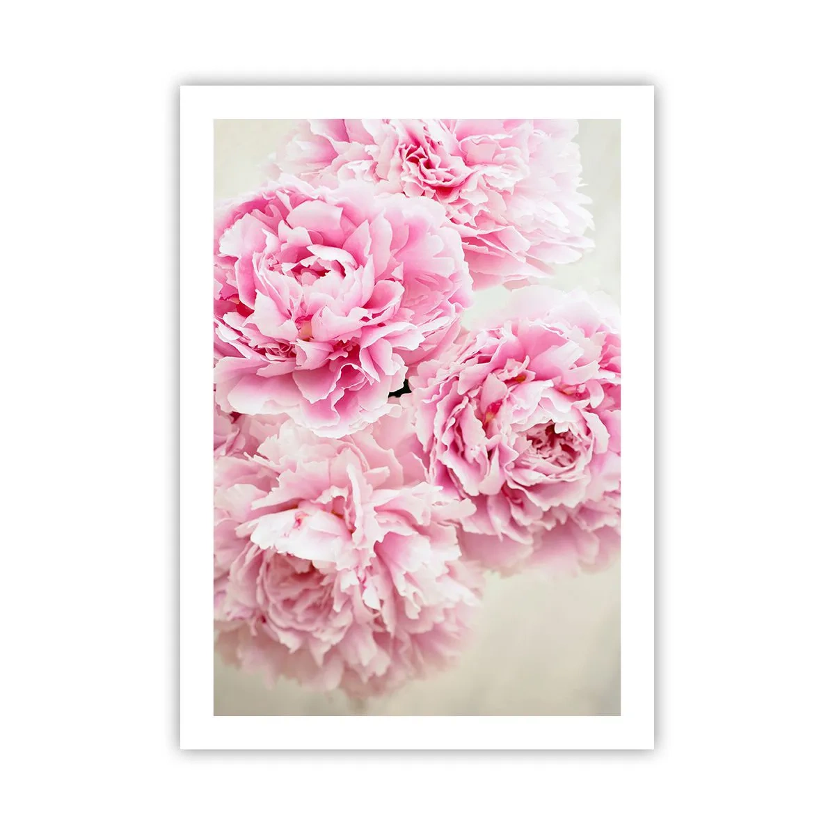 Plakat - I lyserød glamour - 50x70 cm