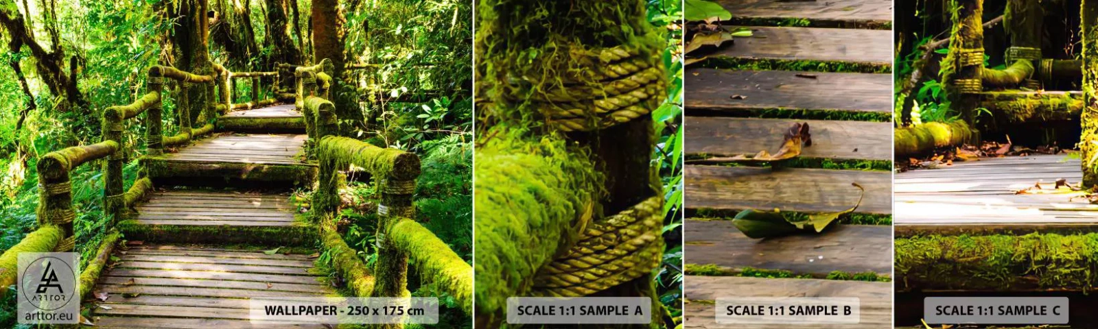 Fototapet Prøve Standard Eco - En korridor af grønt - Natur, Landskab, Skov - 100x30 cm