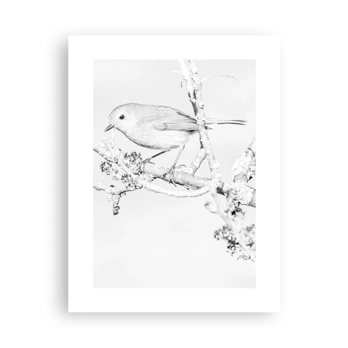 Plakat - Vintermorgen - 30x40 cm