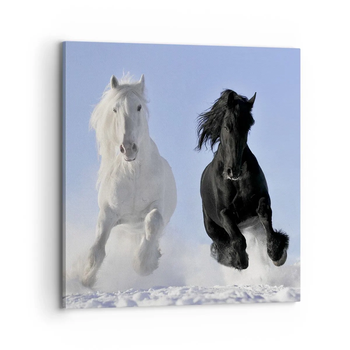 Lærredstryk - Billede på lærred - Sort og hvid galop - 70x70 cm