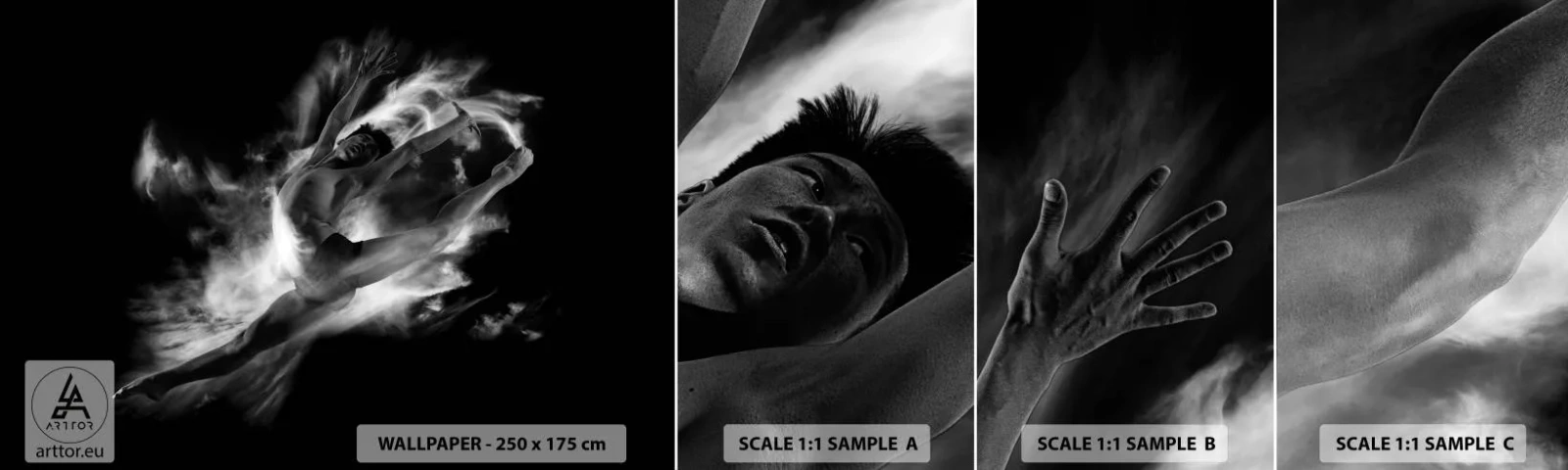 Fototapet Prøve Standard Eco - Stoppet under flyvning - Danser, Ballet, Kultur - 100x30 cm