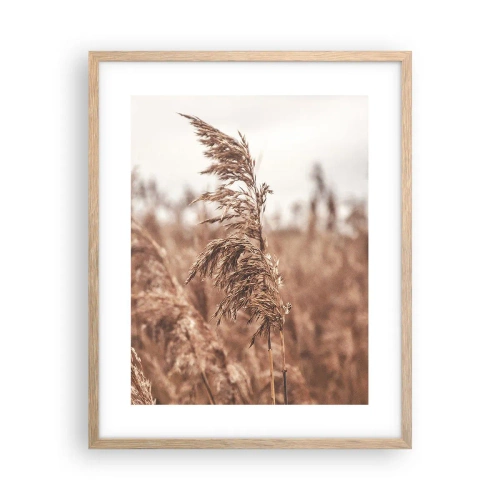 Plakat i ramme af lyst egetræ - Efteråret er allerede på markerne - 40x50 cm
